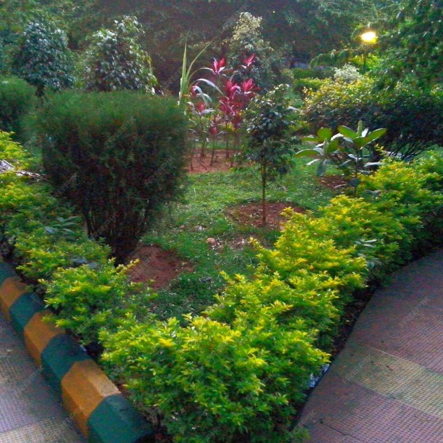 خدمات لاندسكيب MTP